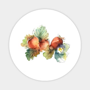 Strawberries Magnet